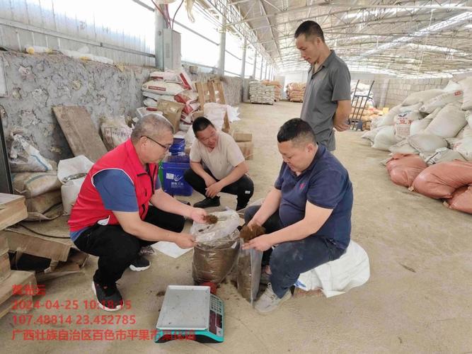 广西生猪饲养技术指导服务 南宁市与玉林市联动推动产业高质量发展