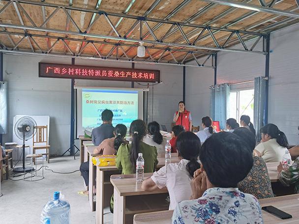 广西蚕业技术推广站乡村科技特派员开展蚕桑生产技术指导服务